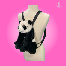 Load image into Gallery viewer, Adopted🐼💖: Ollie
