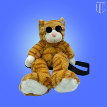 Load image into Gallery viewer, ADOPTED🌟 : Cool Cat
