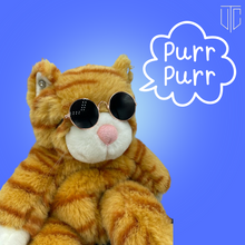 Load image into Gallery viewer, ADOPTED🌟 : Cool Cat
