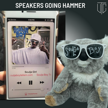 Load image into Gallery viewer, ADOPTED😎 : Crank Dat Koala Boy
