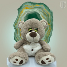 Load image into Gallery viewer, ADOPTED💖: Mellow Fellow Cub
